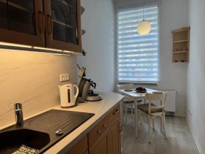 a kitchen with a sink and a table at Appartement Chemnitz-Kaßberg in Chemnitz
