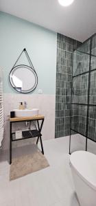 un baño con lavabo y espejo en Park home, en Baia Mare