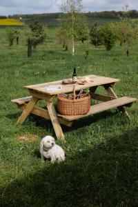 Fotografie z fotogalerie ubytování Parcel Tiny House Brunel - 50 minutes de Paris v destinaci Gressey + 8 fotografií