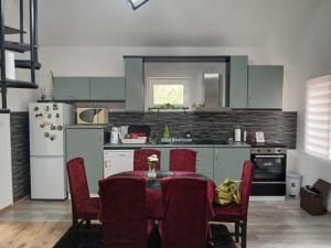 a kitchen with a table and chairs and a refrigerator at HOLIDDAY HOUSE THE LUx in Apatin