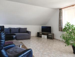 TV a/nebo společenská místnost v ubytování Édenkert Apartman + 17 fotografií