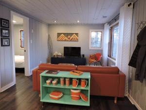 HartfordにあるThe Middle Houseのリビングルーム(オレンジ色のソファ、ベッド付)