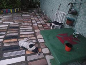 Φωτογραφία από το άλμπουμ του Hotel Campina σε Μπελέμ