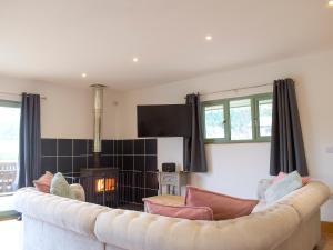 a living room with a couch and a tv at Red Kite Lodge - Uk32610 in Old Radnor