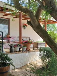 Zahrada ubytování Oz on M8re + 10 fotografií