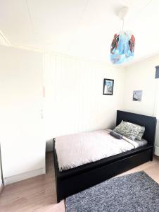 een kleine slaapkamer met een bed in een kamer bij Dal Homestay Haven 4U in Dal