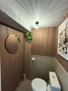 a bathroom with a toilet and a mirror at Cléanounette du Morvan in Saulieu