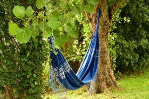 un hamac bleu suspendu à un arbre dans l'établissement La Vecindad del Sol Depto H, à Miramar