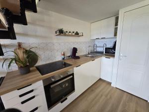 Η κουζίνα ή μικρή κουζίνα στο T1 bis Proche Cern Parking Privé