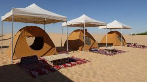 a group of tents in the sand in the desert at Marcelia Eco-Village Front Lake View in Siwa