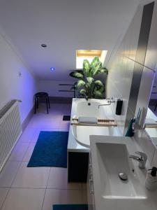 a bathroom with a sink and a potted plant at Alpesi Apartman Downtown in Sopron +23 photos
