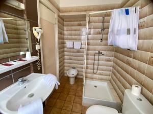 un bagno con lavandino, WC e doccia di Au Royal Hotel a Carcassonne Altre 13 foto