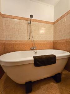 Old Town 2 Bedroom Apartment with Stunning River View by Dome Square and Presidential Castle في ريغا: حوض استحمام مع دش في الحمام