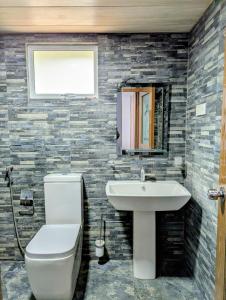 エッラにあるFelix Holiday Bungalowの白いトイレと洗面台のあるバスルーム