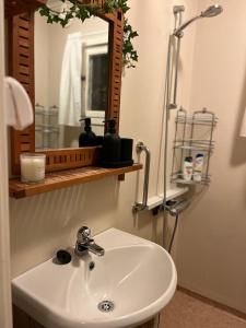 Koupelna v ubytování Lilla röda huset