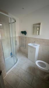 ein Badezimmer mit Dusche, Toilette und Waschbecken in der Unterkunft Bling Paradise in Potters Bar