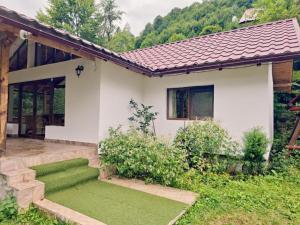 a house with a green lawn in front of it at Rustic Home in Ciungetu