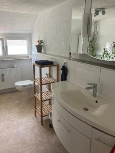 een badkamer met een wastafel, een toilet en een spiegel bij RoDo - kleines ruhiges Condo an der A8 in Kirchheim unter Teck