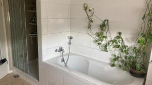 een badkamer met een bad met een plant bij RoDo - kleines ruhiges Condo an der A8 in Kirchheim unter Teck +20 foto's