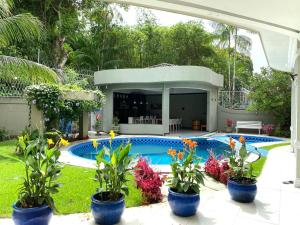 a swimming pool in a yard with potted plants at COP30 ALTO PADRÃO Belém Brasil in Belém