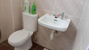 a bathroom with a white toilet and a sink at The Diana Residence Muar in Muar +2 photos
