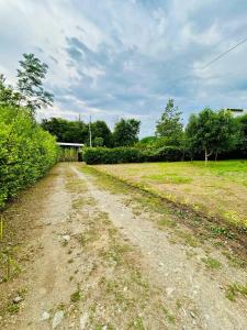 Foto dalla galleria di Finca Midebar a Sopetrán