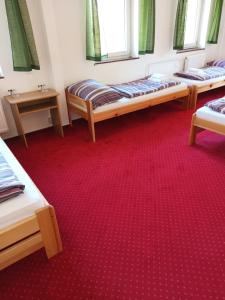 Bartošovice v Orlických HoráchにあるHotel Bartošoviceのギャラリーの写真