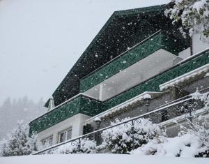 a building in the snow with snow falling at Alpstay - Chalet Hotel Hartmann - Adults Only in Ortisei