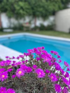 ein Strauß lila Blumen vor einem Swimmingpool in der Unterkunft Casa Villa Elisa Rio Tercero in Río Tercero