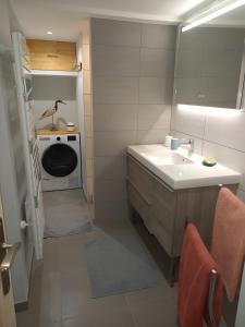 ブリッド・レ・バンにあるChalet La Hulotteの洗面台と洗濯機を備えたバスルーム