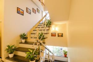 a staircase in a house with potted plants at FabHotel The Gravity Inn in Indore