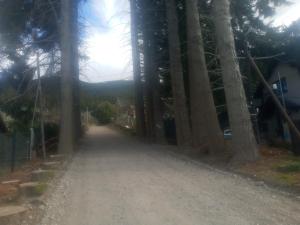 Φυσικό τοπίο κοντά σε αυτό το διαμέρισμα +7 φωτογραφίες