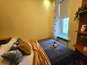 Old Town 2 Bedroom Apartment with Stunning River View by Dome Square and Presidential Castle في ريغا: غرفة نوم بها سرير مع وسائد ونافذة +33 صورة