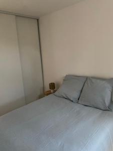 a bedroom with a bed with gray pillows at Charmant T2 cosy à Mazamet in Mazamet