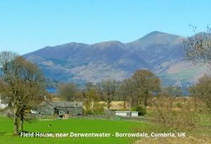 een groen veld met bergen op de achtergrond bij Mountain Lodge, Lake View, National Park in Borrowdale Valley +20 foto's