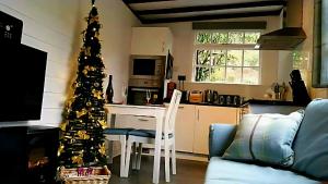 een woonkamer met een kerstboom in een keuken bij Mountain Lodge, Lake View, National Park in Borrowdale Valley