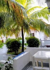 Fotografie z fotogalerie ubytování The Var Zanzibar v destinaci Kendwa