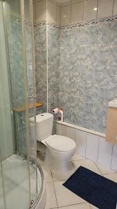a bathroom with a toilet and a shower at Magnifique appartement chaleureux in Charleville-Mézières