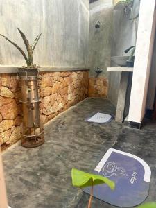 a bathroom with a sink and a potted plant at Noah's House in Weligama