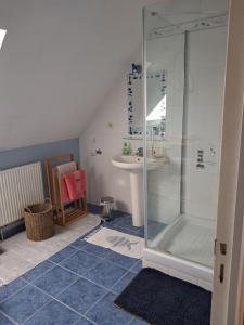 a bathroom with a shower and a sink at Studio des cygnes in Le Mans