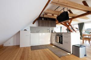 Kuchyň nebo kuchyňský kout v ubytování Panoramablick Bucklige Welt