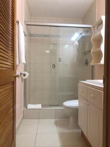 a bathroom with a shower and a toilet and a sink at Fond Bay Suites Hotel - Breathtaking Ocean Views in Micoud