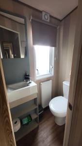 a bathroom with a toilet and a sink and a mirror at East Lothian Escape in Port Seton +9 photos