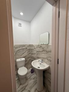 a bathroom with a toilet and a sink at My Apartment in Kvareli +27 photos