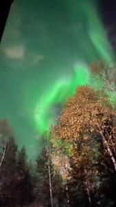 Billede fra billedgalleriet på Arctic Apartment i Rovaniemi