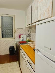 eine Küche mit Spüle und Kühlschrank in der Unterkunft Horizont Herceg Novi in Herceg-Novi