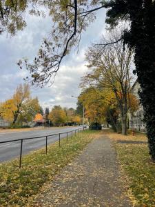 Gambar di galeri bagi Manda's Flat di Miskolc