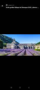 une photo d'une maison dans un champ de fleurs dans l'établissement Petite maison de charme, à LʼIsle-sur-la-Sorgue 14 autres photos