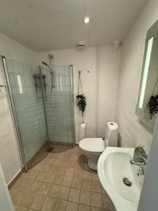 a bathroom with a shower and a toilet and a sink at Flot 3 værelses lejlighed - op til 6 personer in Randers +10 photos