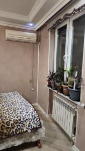 een kamer met een bed en potplanten op een balkon bij Comfort Apartment Near Staidum in Ganja